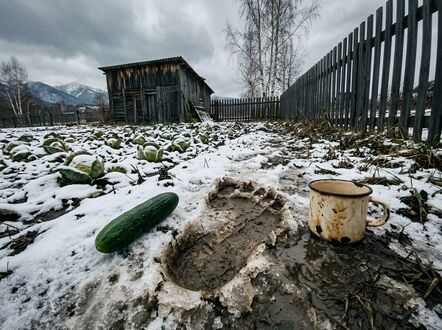 «Улика на капусте»: оттиск стопы, упавший огурец и кружка.