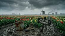 «Чужая грядка»: тюльпановое поле в дачной оптике.