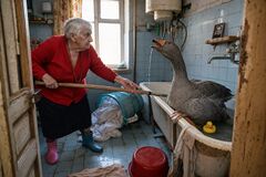 Первичная фотография из переписки.