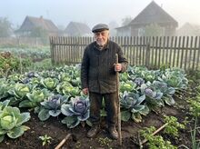Перед боем: одинокая фигура на капустном рубеже.